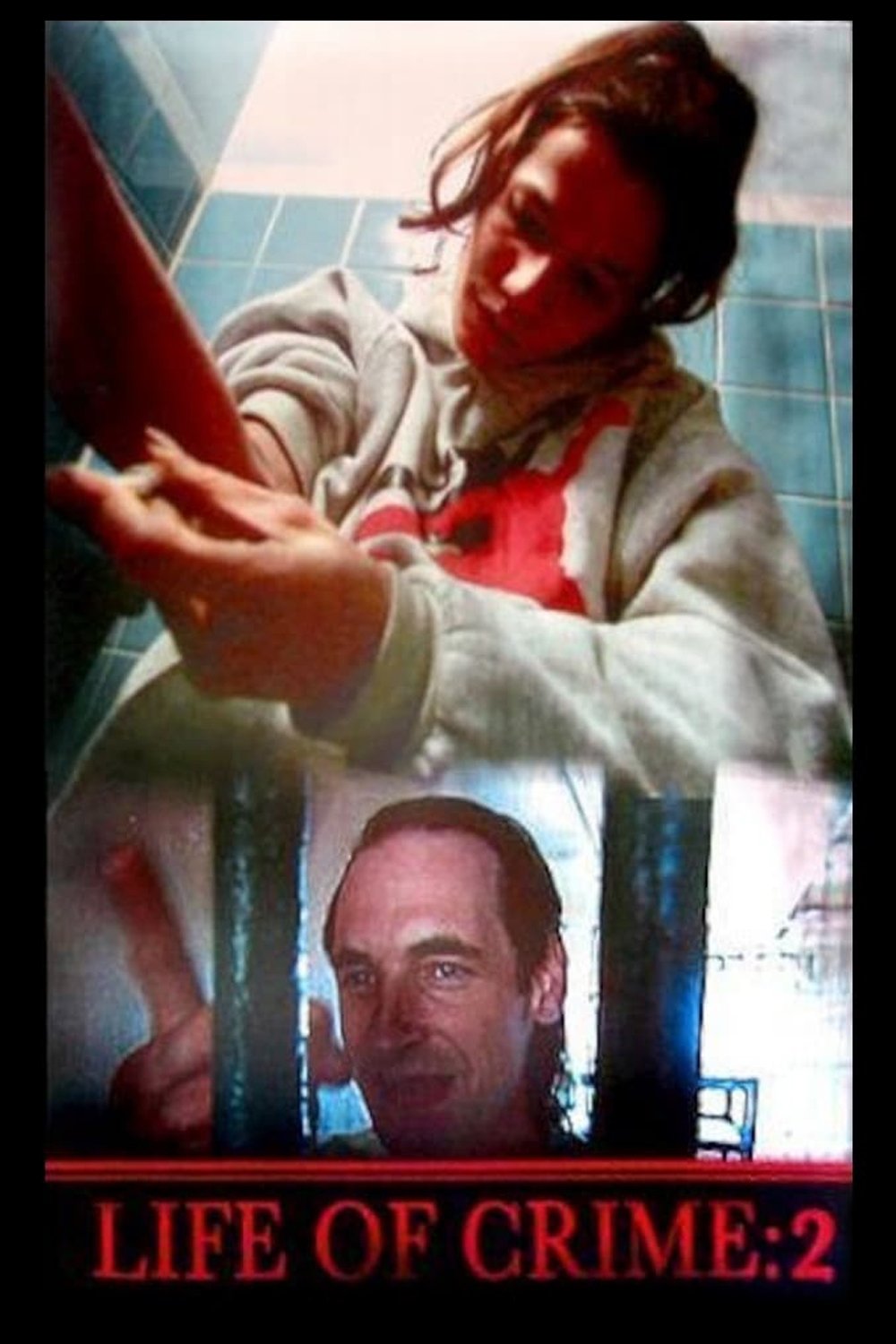 Life of Crime 2
