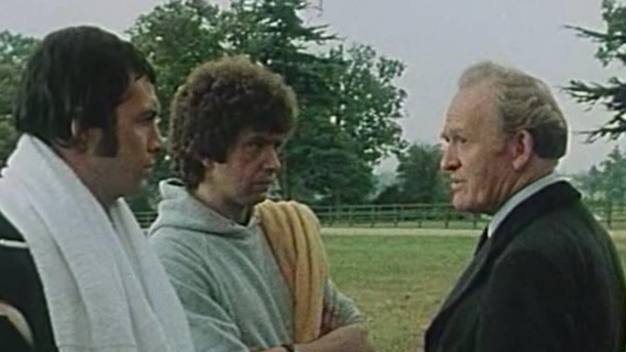 The Professionals