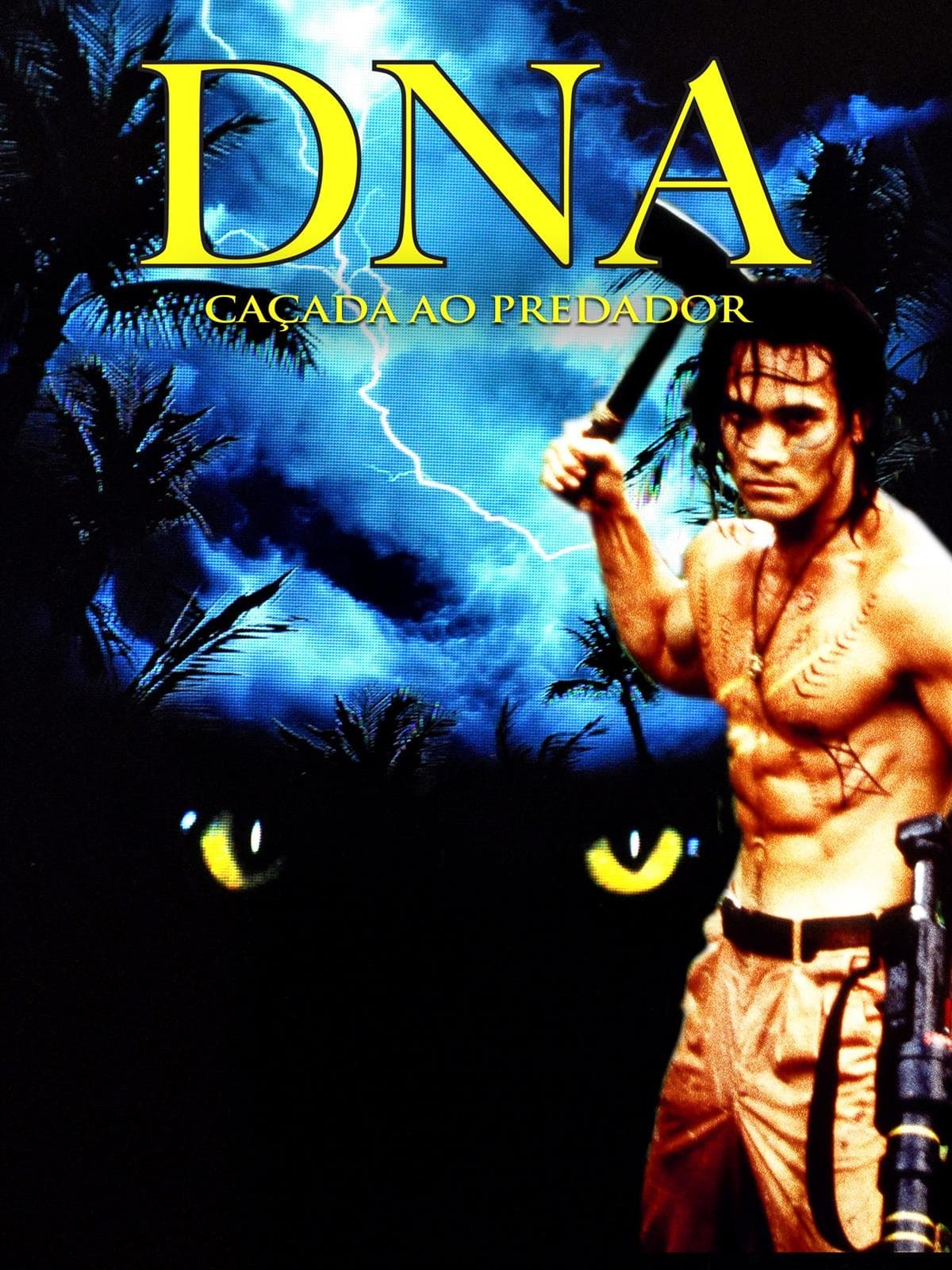 Capa do Filme 