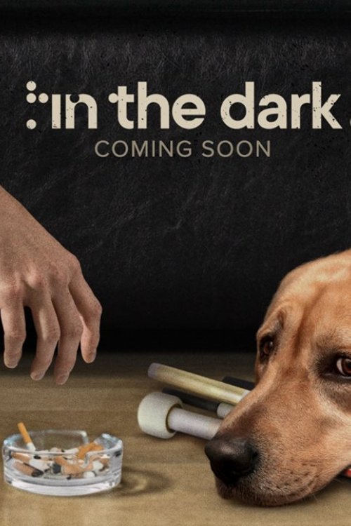 In the Dark Poster