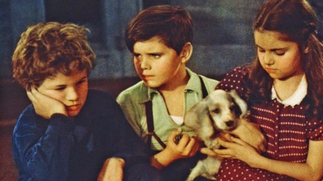 Little Orvie (1940)