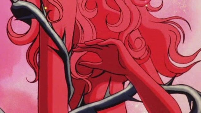 The Rose of Versailles