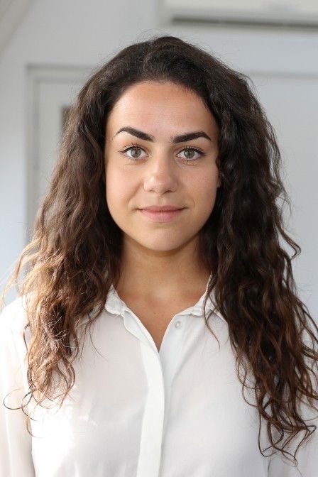 et billede af Lisanne Sweere