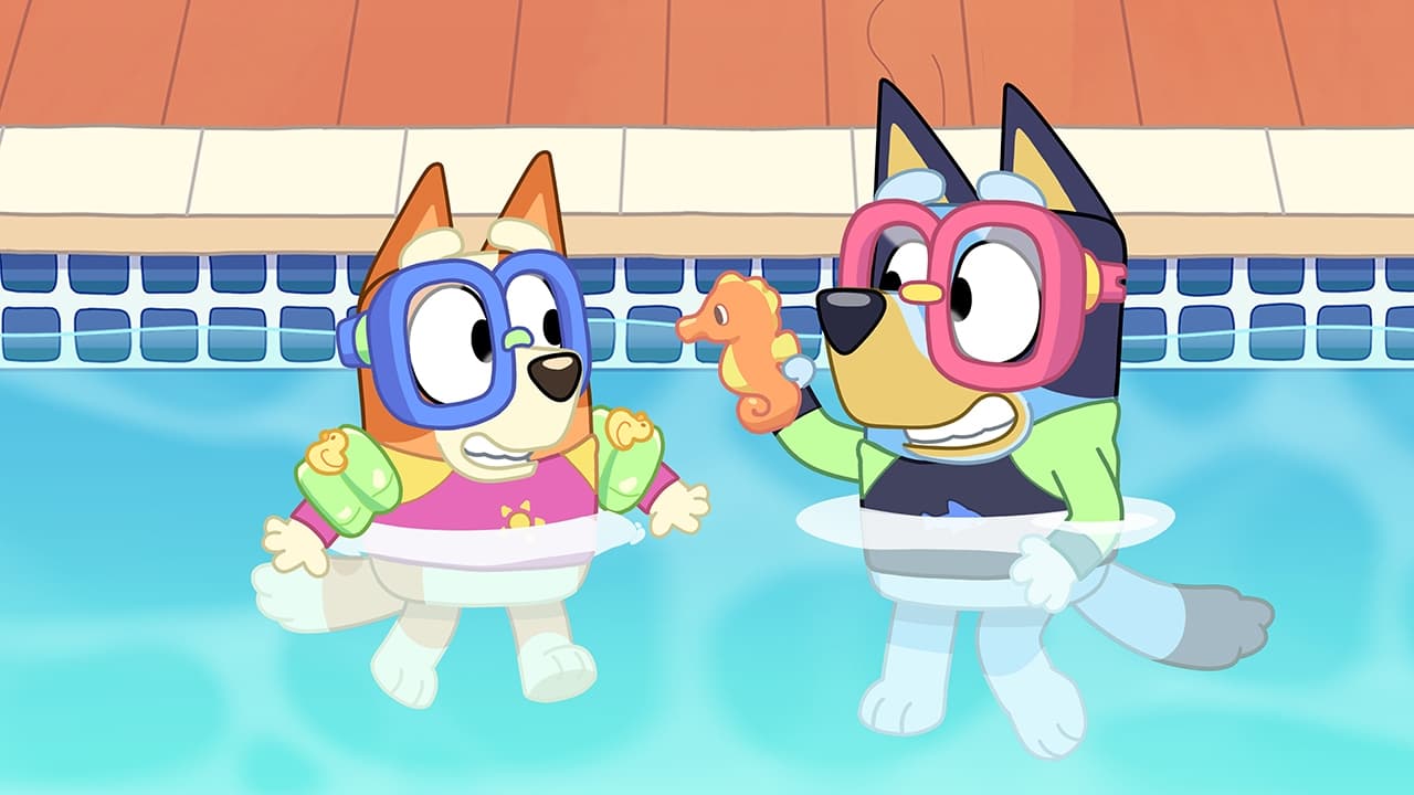 Bluey Season 1 :Episode 22  The Pool