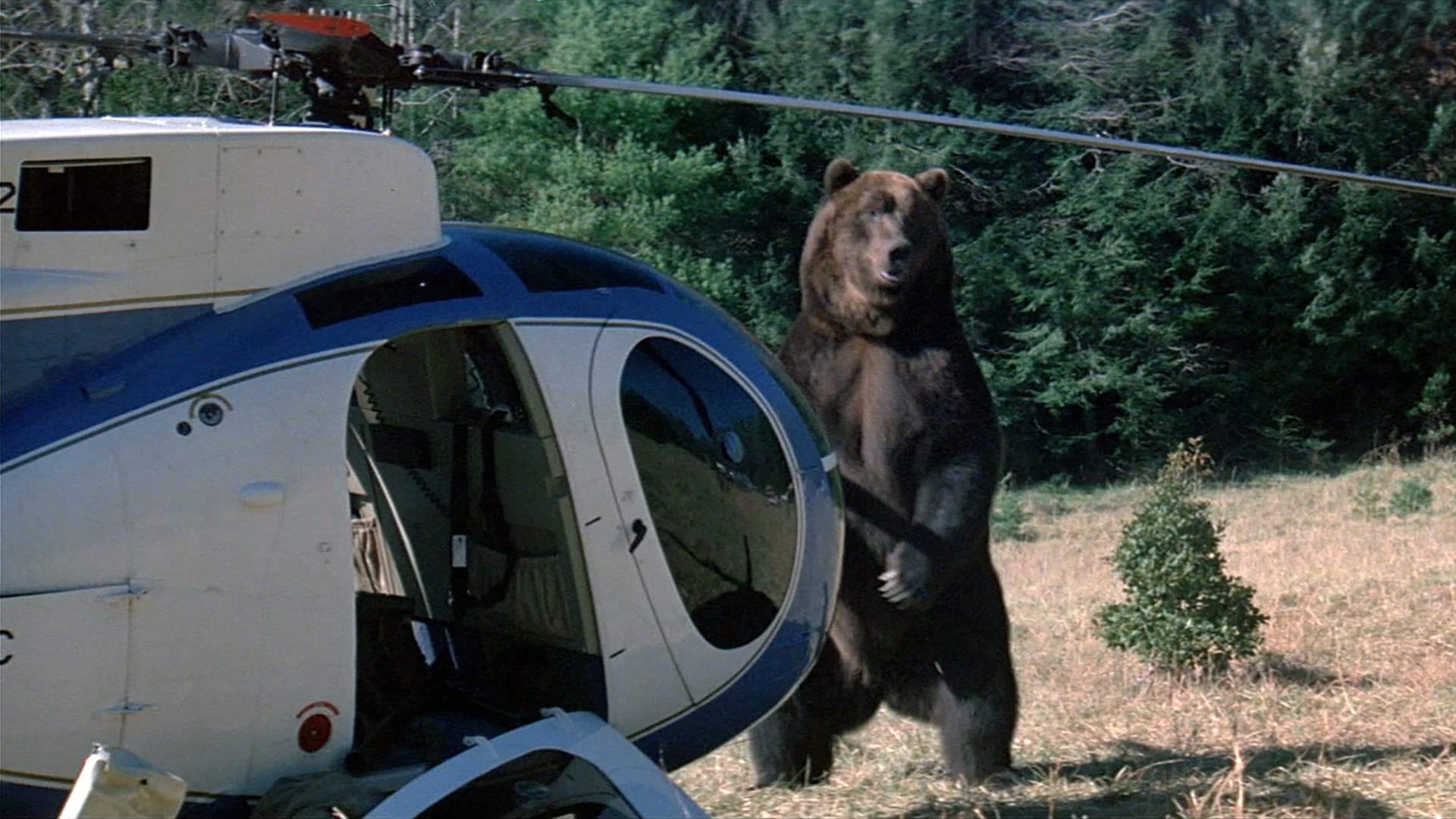 Grizzly (1976)