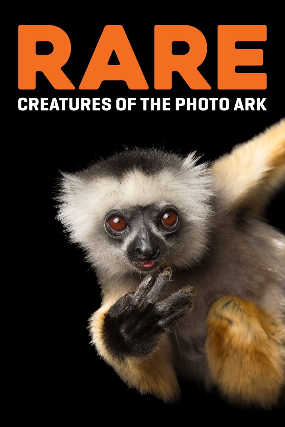 Rare: Creatures of the Photo Ark TV Shows About Photography