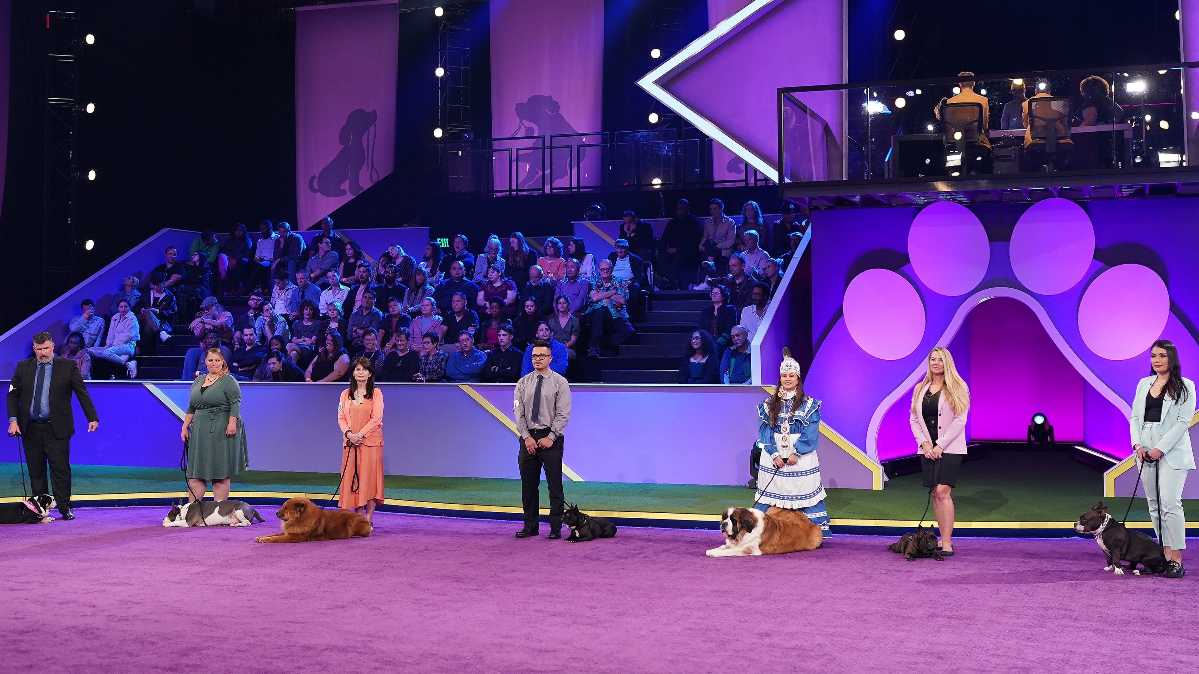 2022 American Rescue Dog Show (2022) AZ Movies
