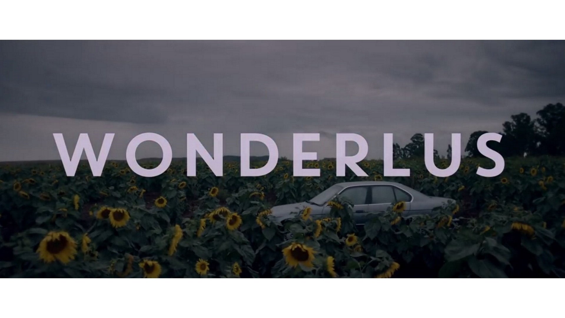 Wonderlus