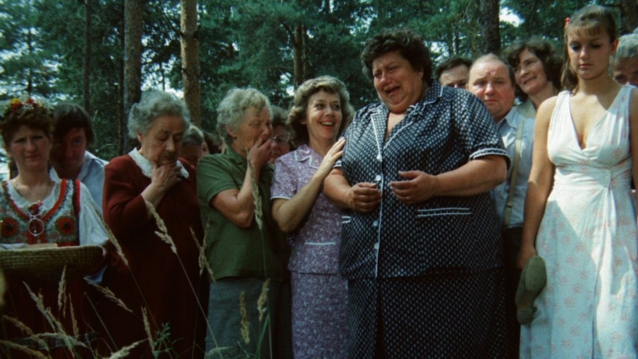 Slunce, seno, jahody (1984)