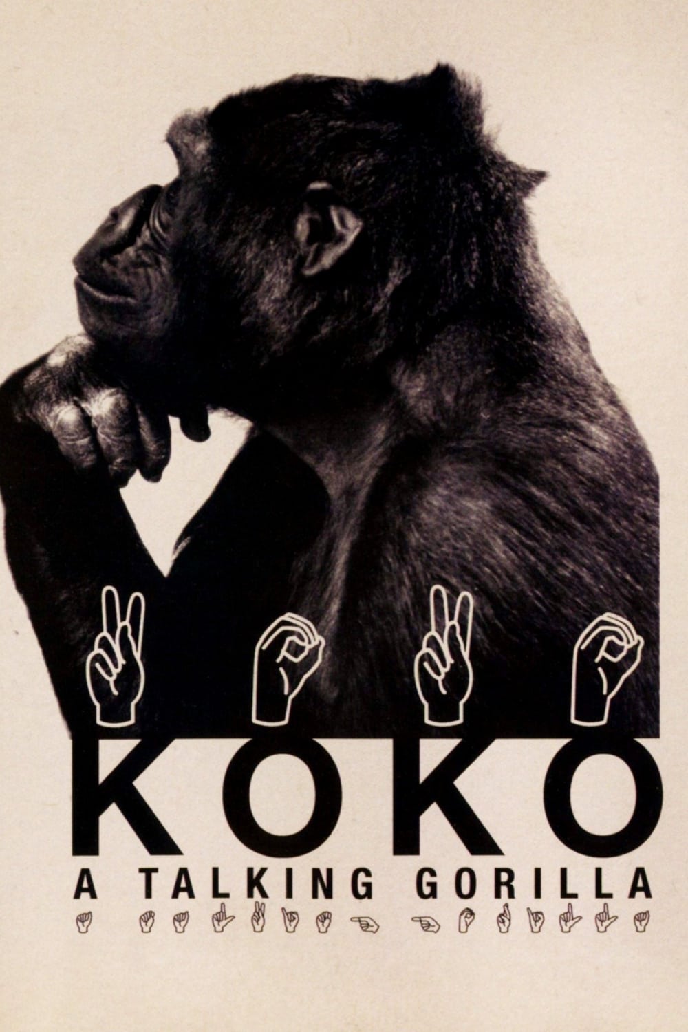 Affiche du film Koko, le gorille qui parle 13757