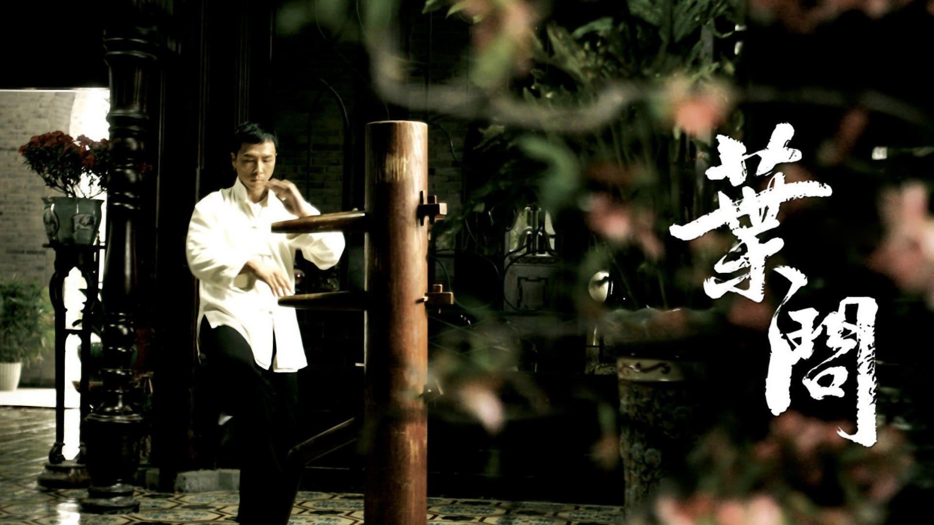Ip Man (2008)