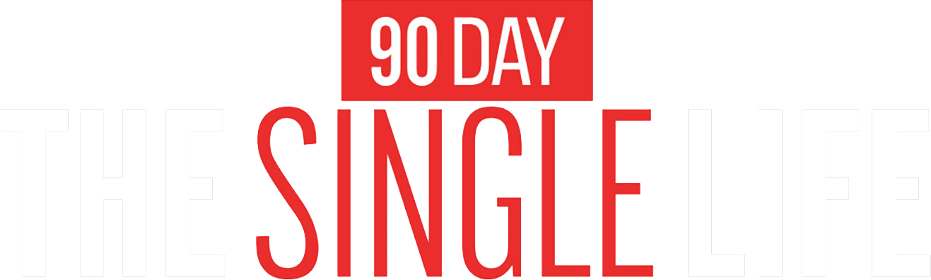 90 Day: The Single Life Logo