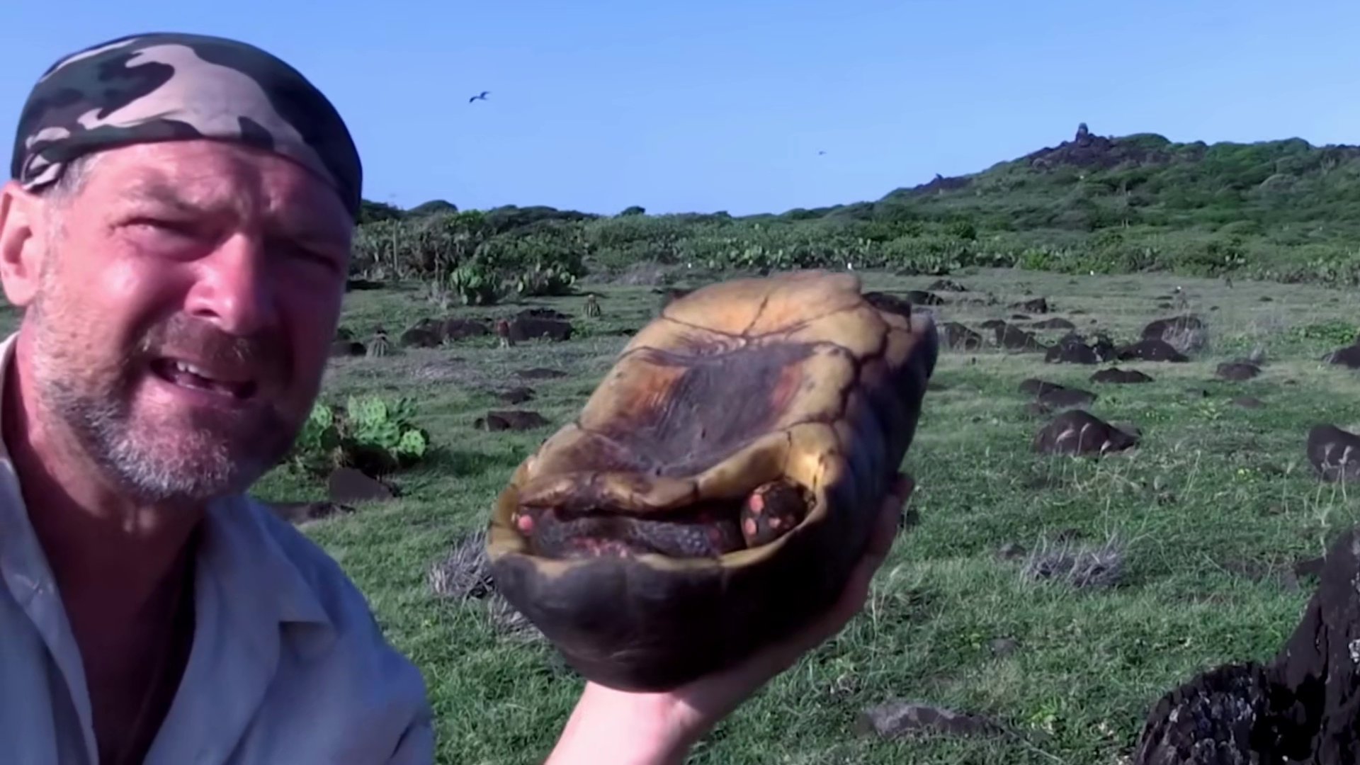 Survivorman S05E02 backdrop