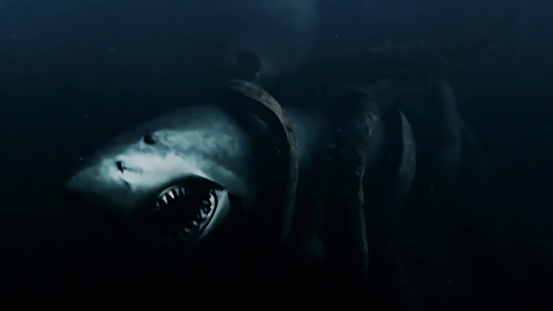Mega Shark Collection
