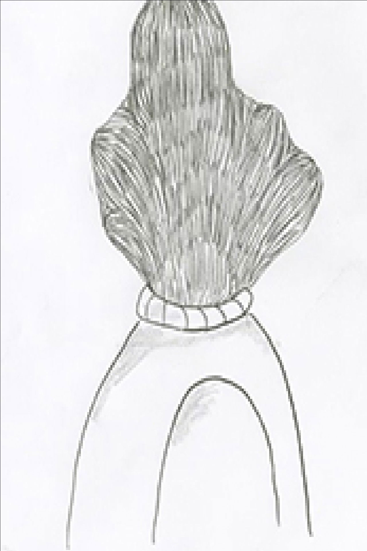 I hibernated all year