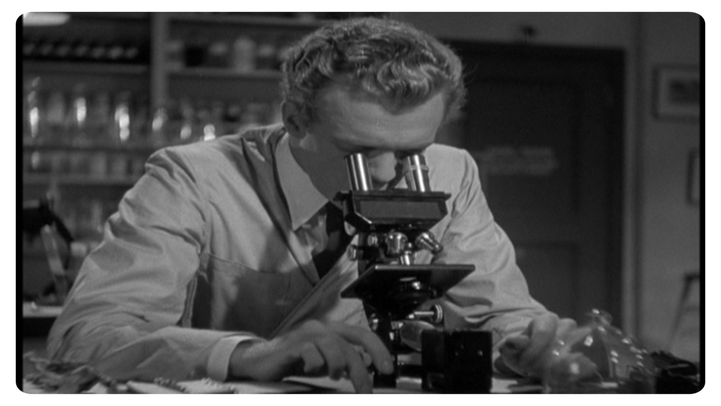 Kid Glove Killer (1942)
