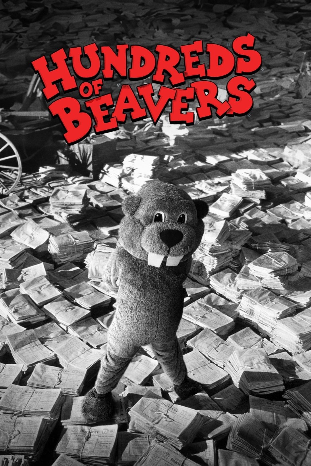 Hundreds of Beavers