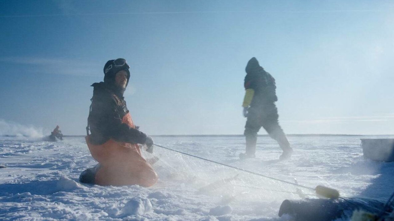 Ice Vikings - Sortez les bombardiers