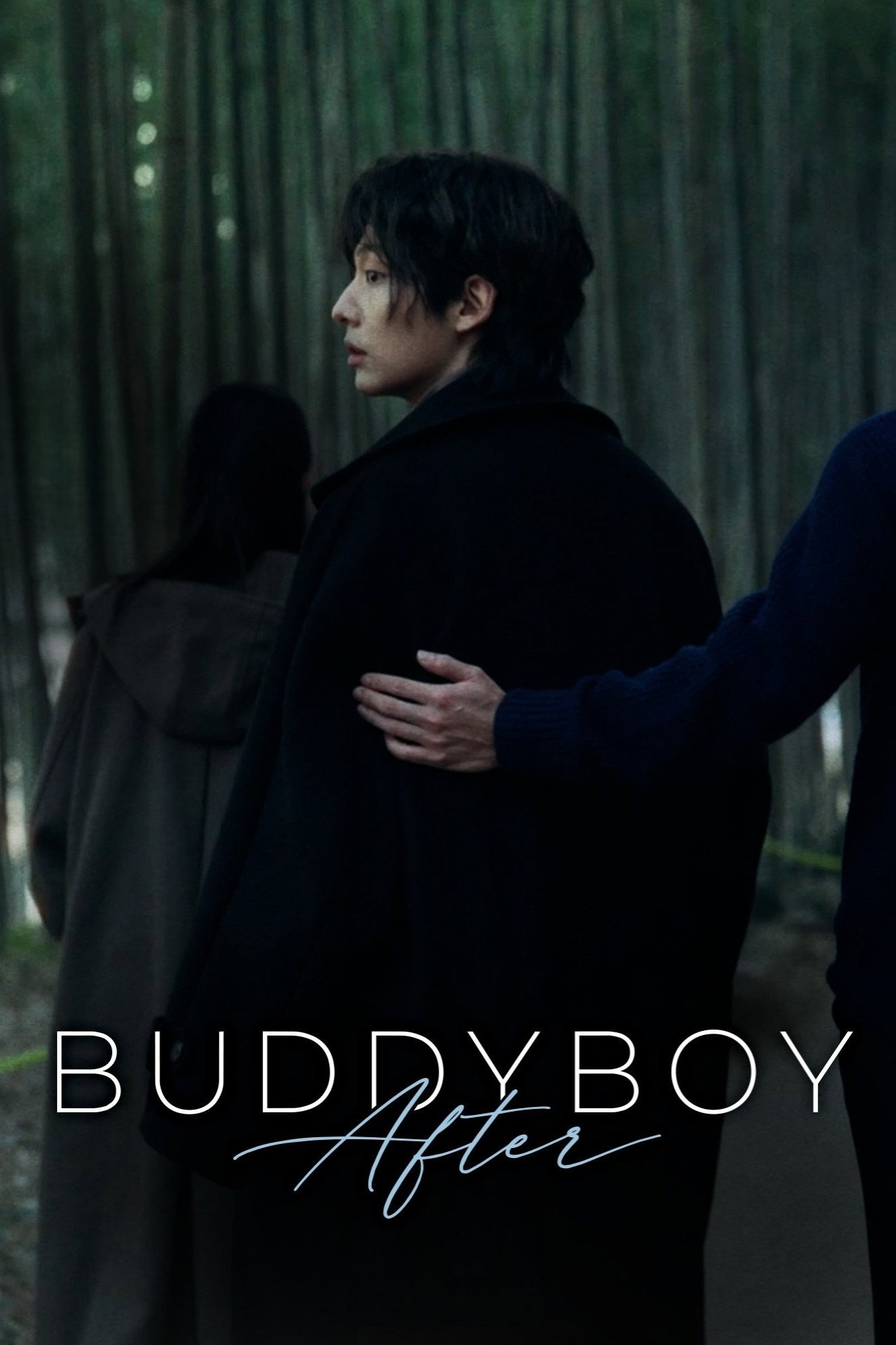 poster season Buddy Boy After