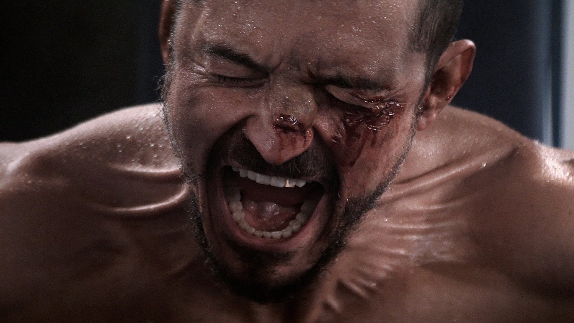 The Cut (2024)