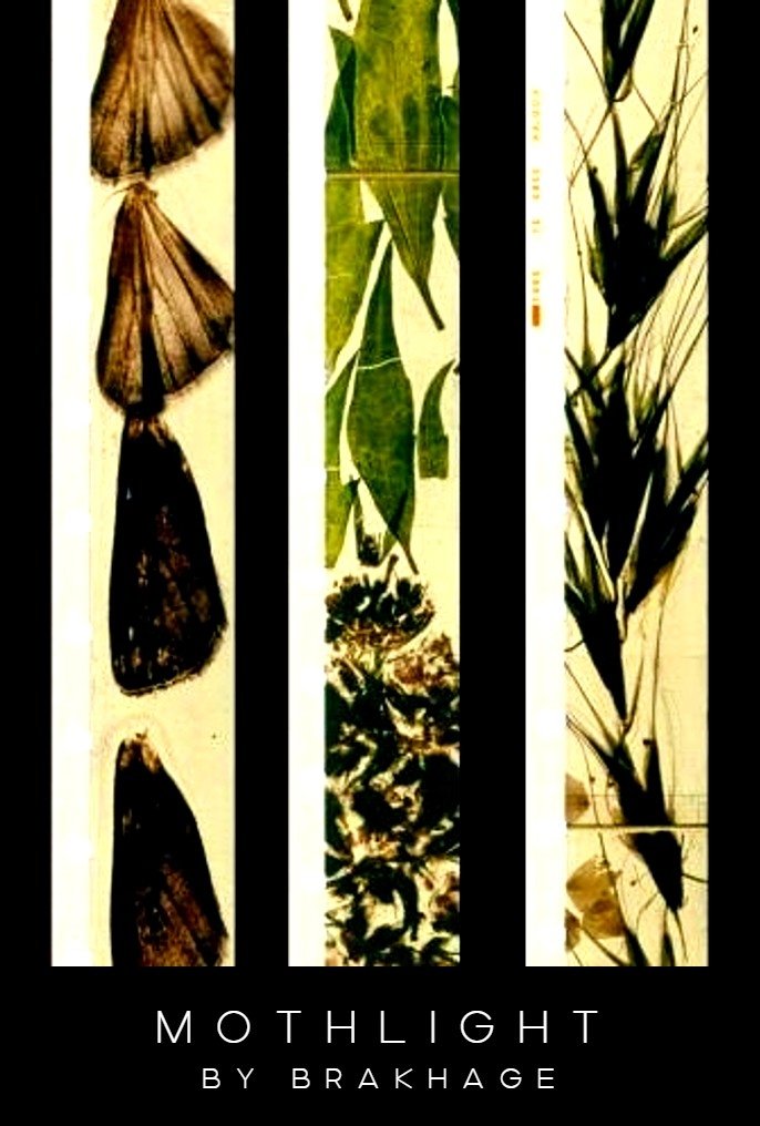 Mothlight