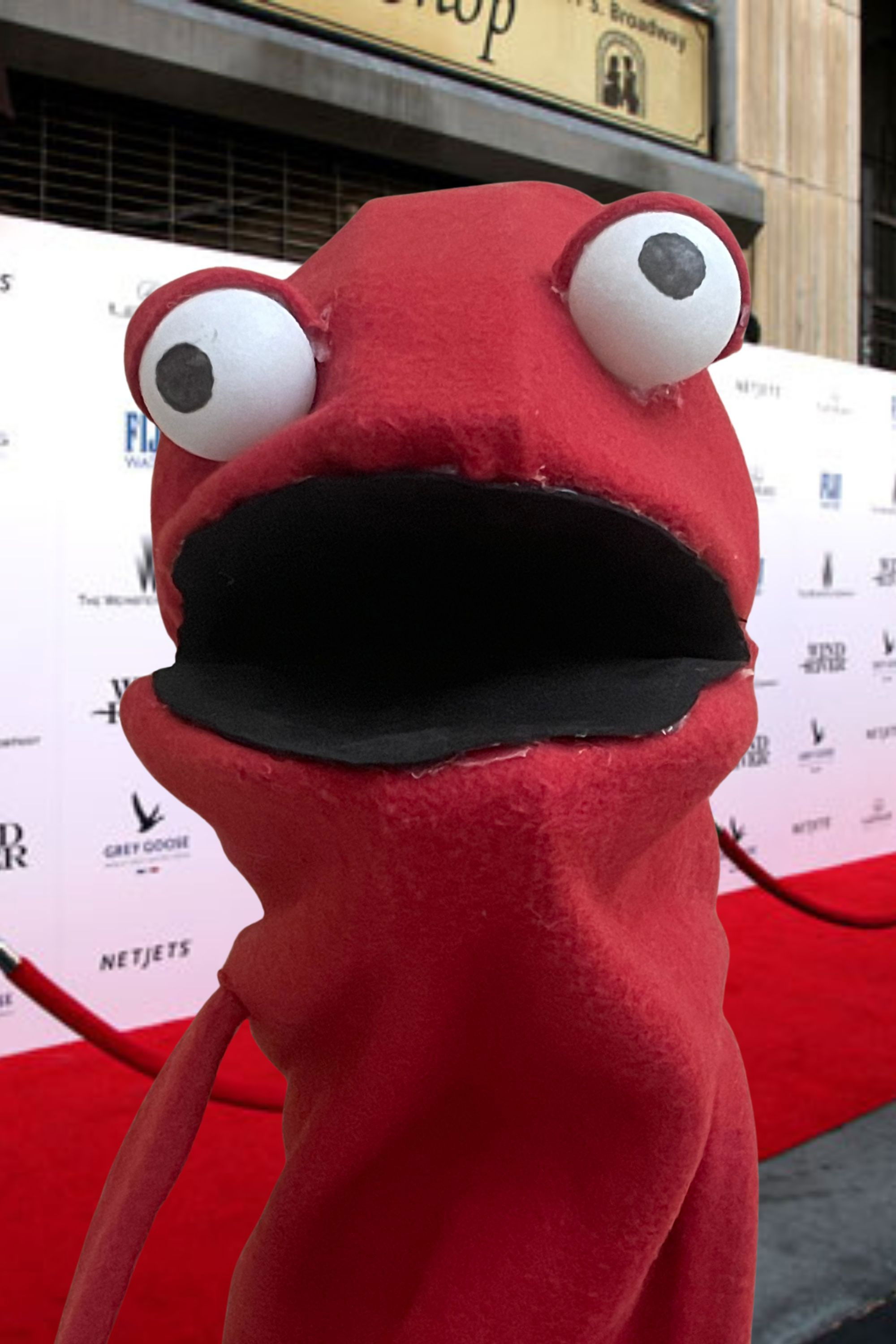 et billede af Tunico