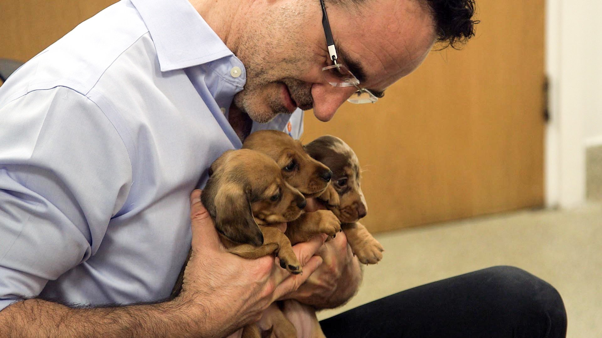 The Supervet: Noel Fitzpatrick - Épisode 6