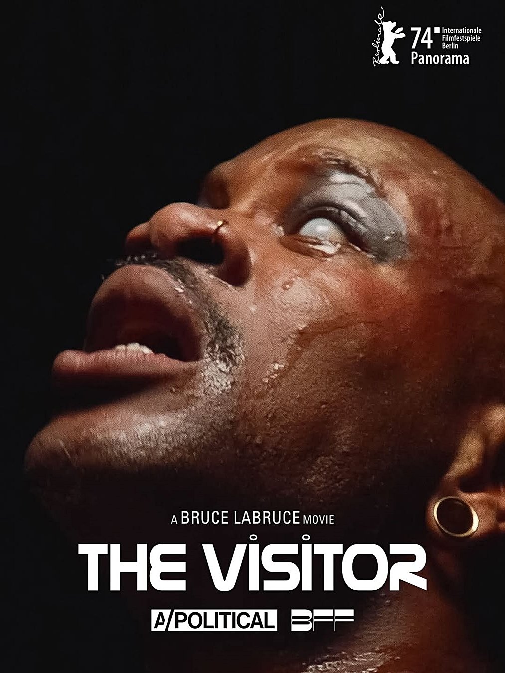 The Visitor
