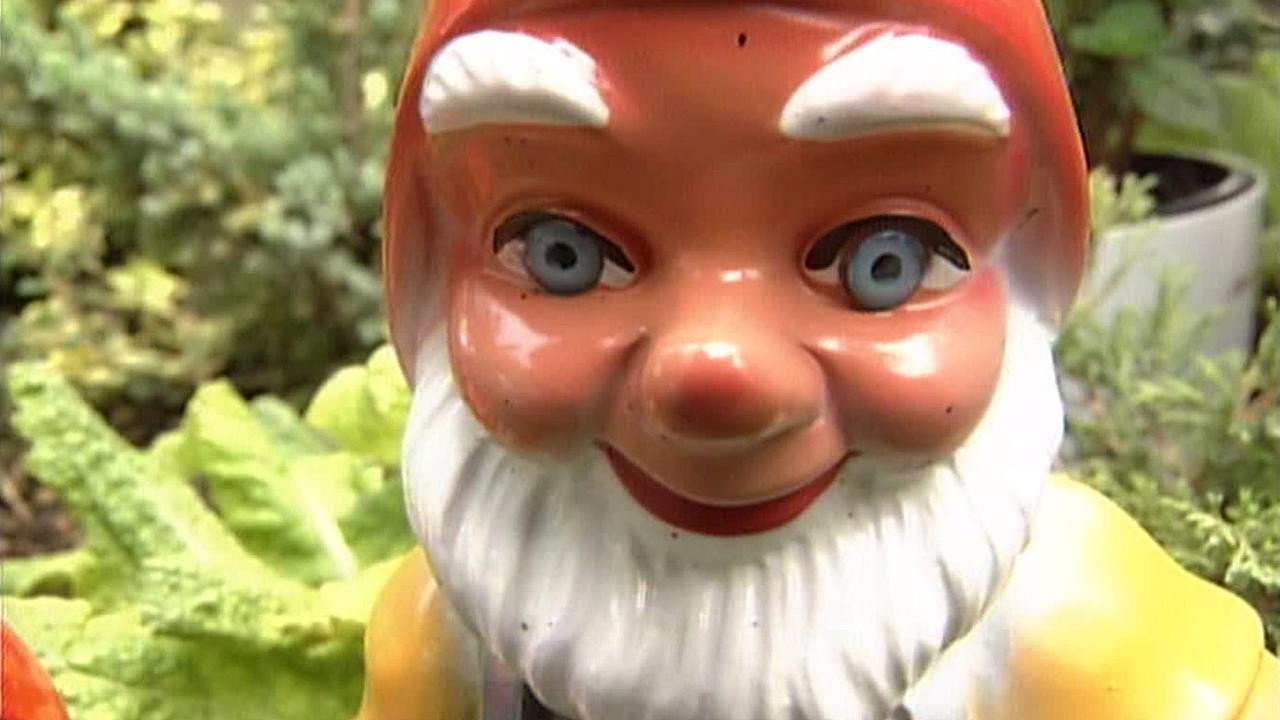 Alltagsgeschichten – Das kleine Glück im Schrebergarten movie still