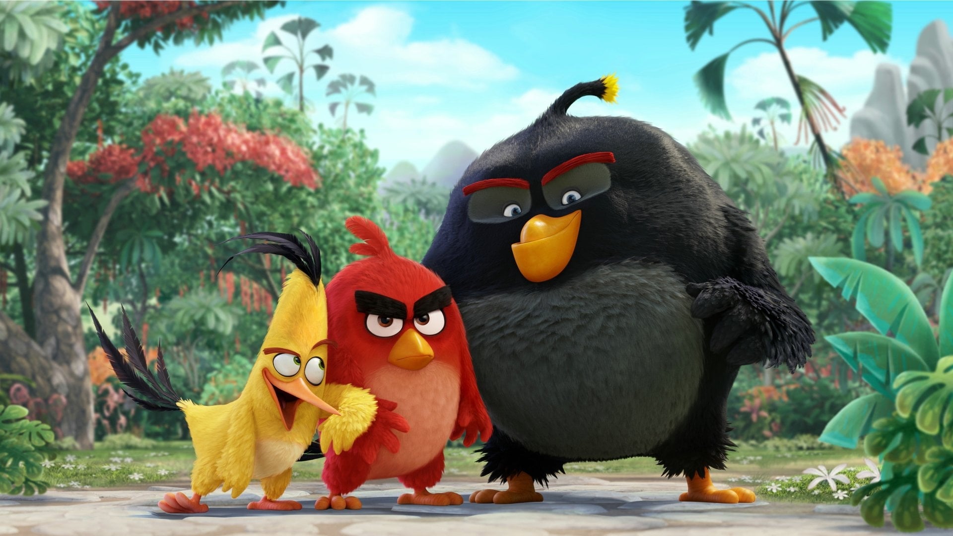 Image du film Angry Birds : le film jpidu2wxnn5up7on8idyj3pxmlsjpg