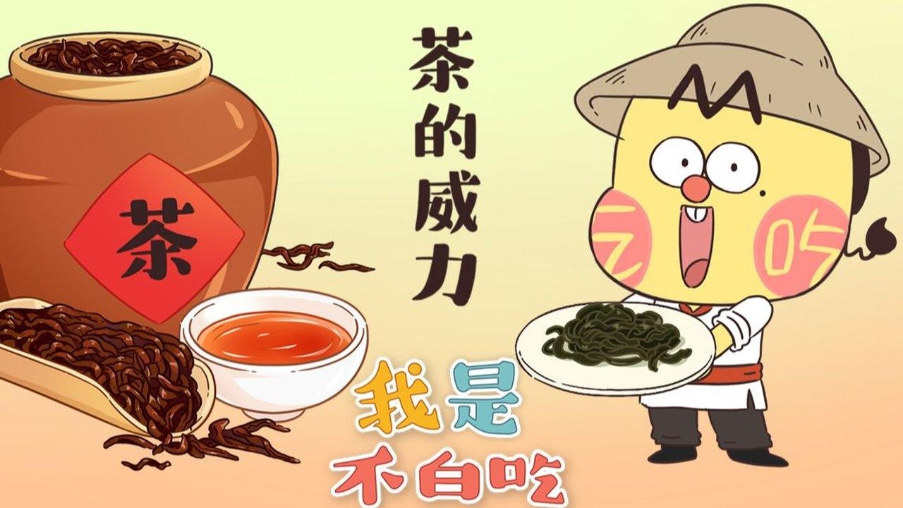 Episode 255