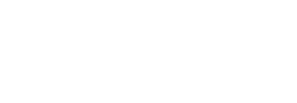 The Time of Fever Logo