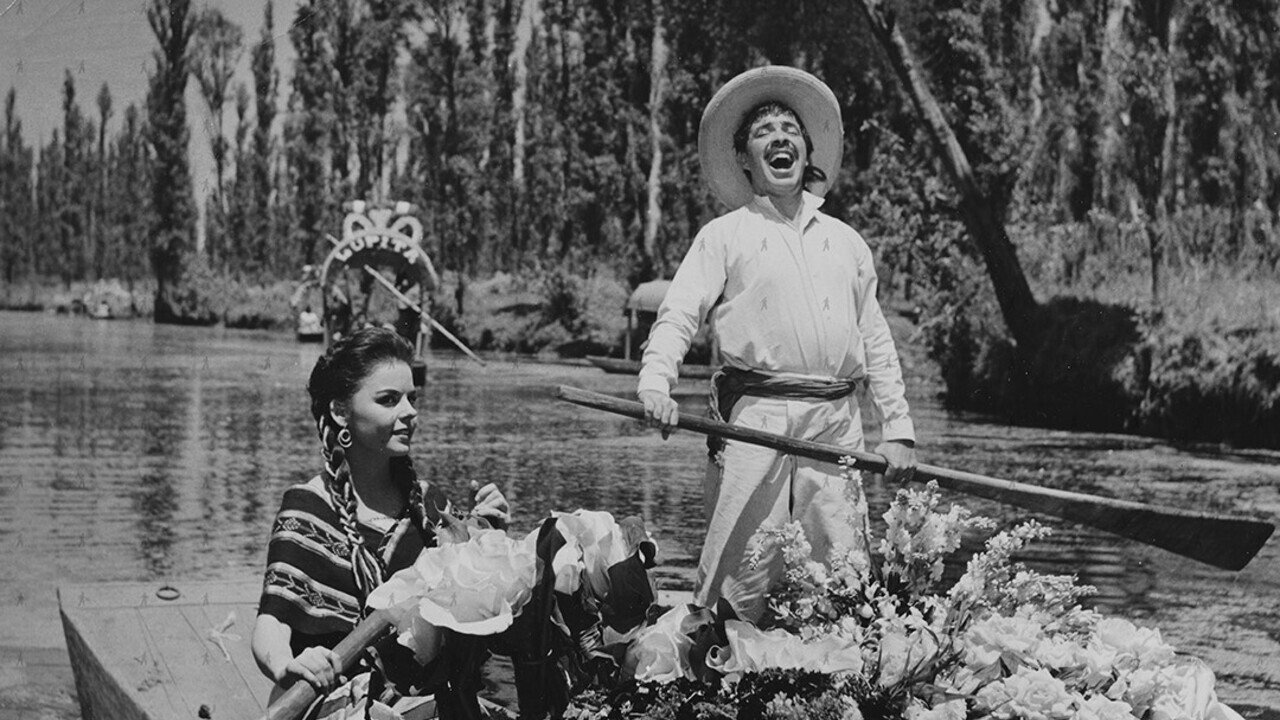 El Violetero (1960)