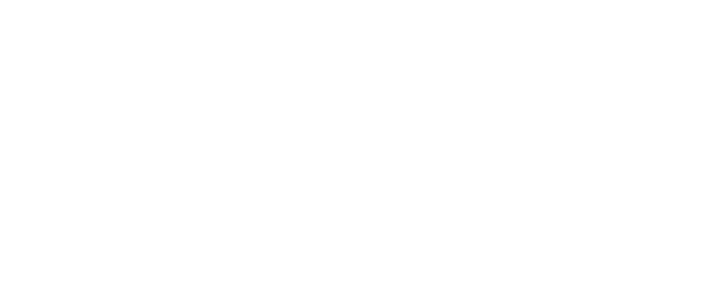 Lili Logo