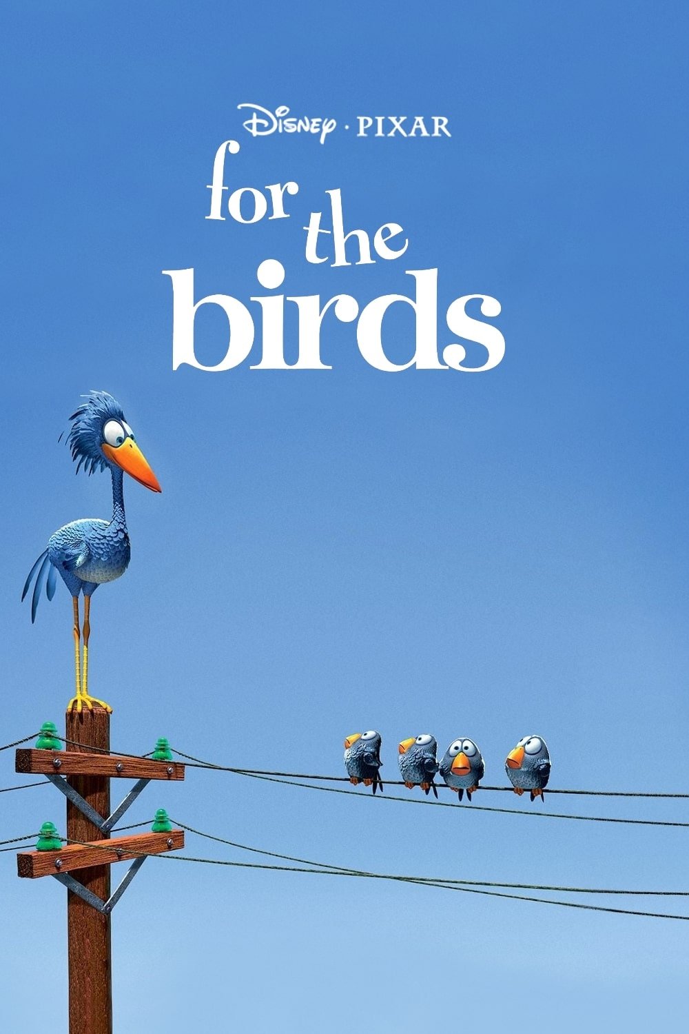 For the Birds