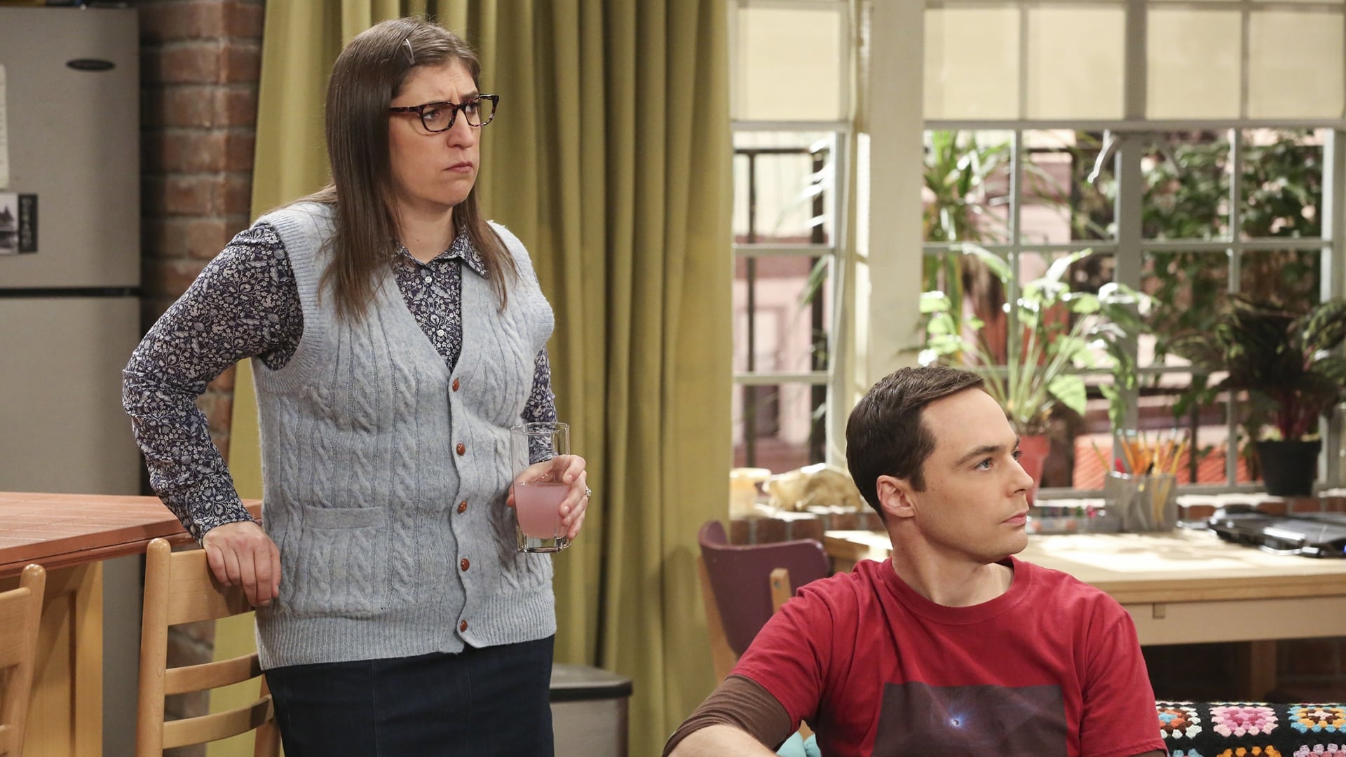 The Big Bang Theory Season 11 Episode 17