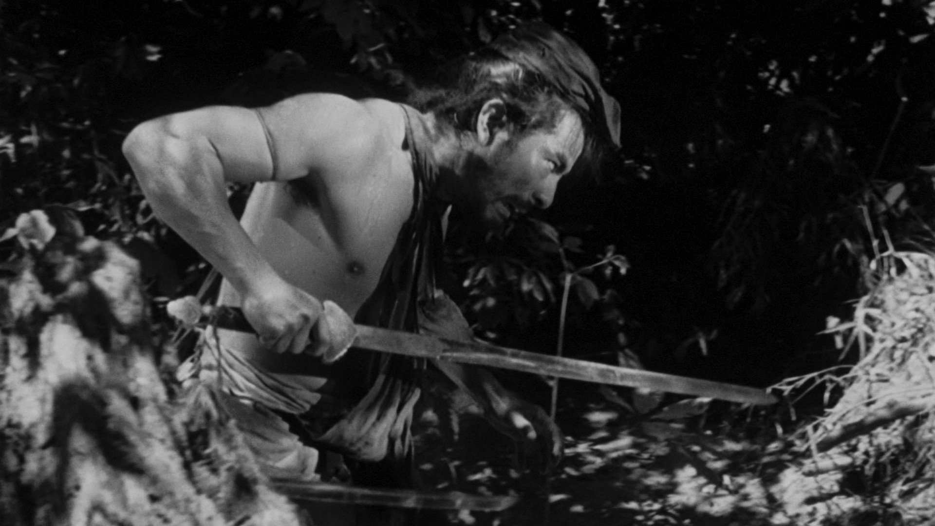 Rashomon