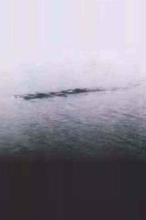 The Loch Ness Monster: Proof at Last!