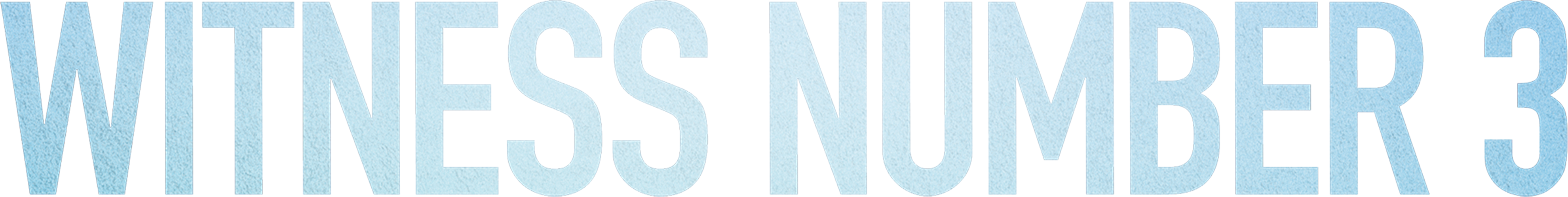 Witness Number 3 Logo