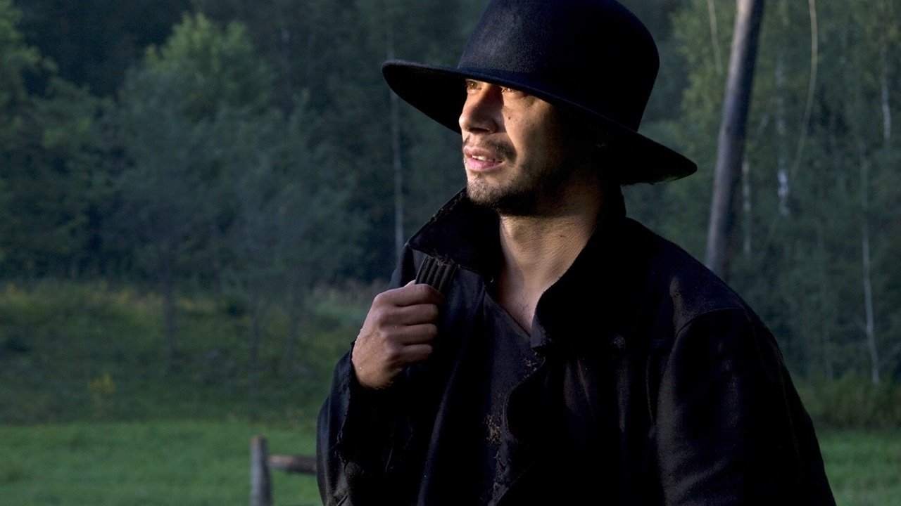 The Visitor (2008)