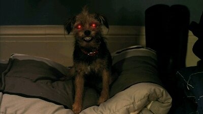 My Babysitter's a Vampire