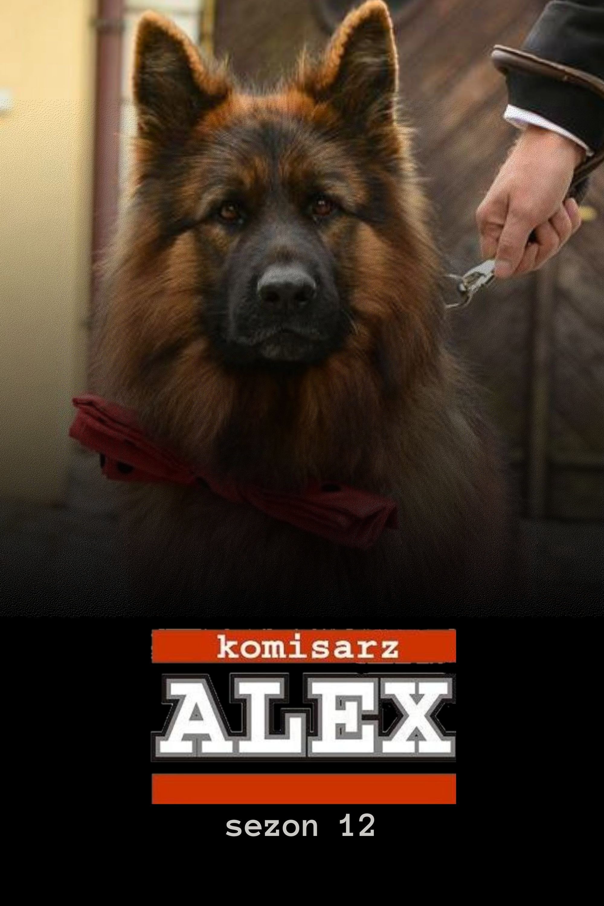 Inspector Alex - Season 12