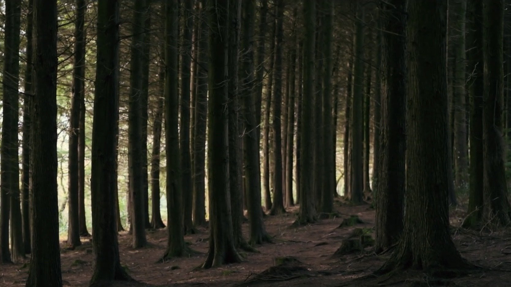 Life's Odyssey (1970)