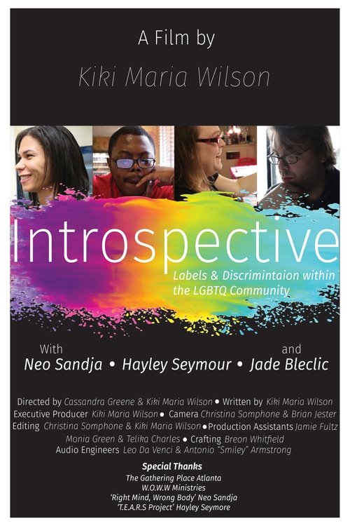 Introspective: Labels and Discrimination Within the LGBTQ Community (2018)