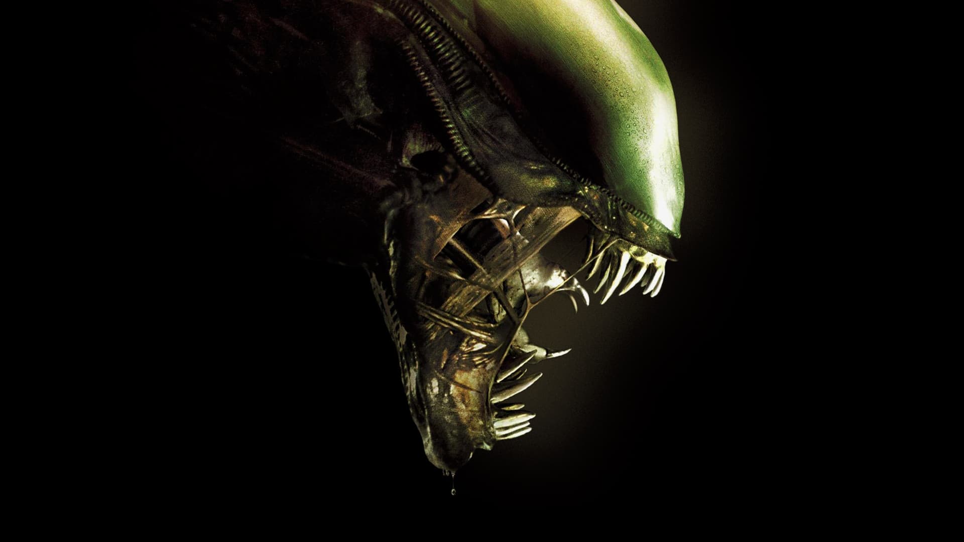 Alien