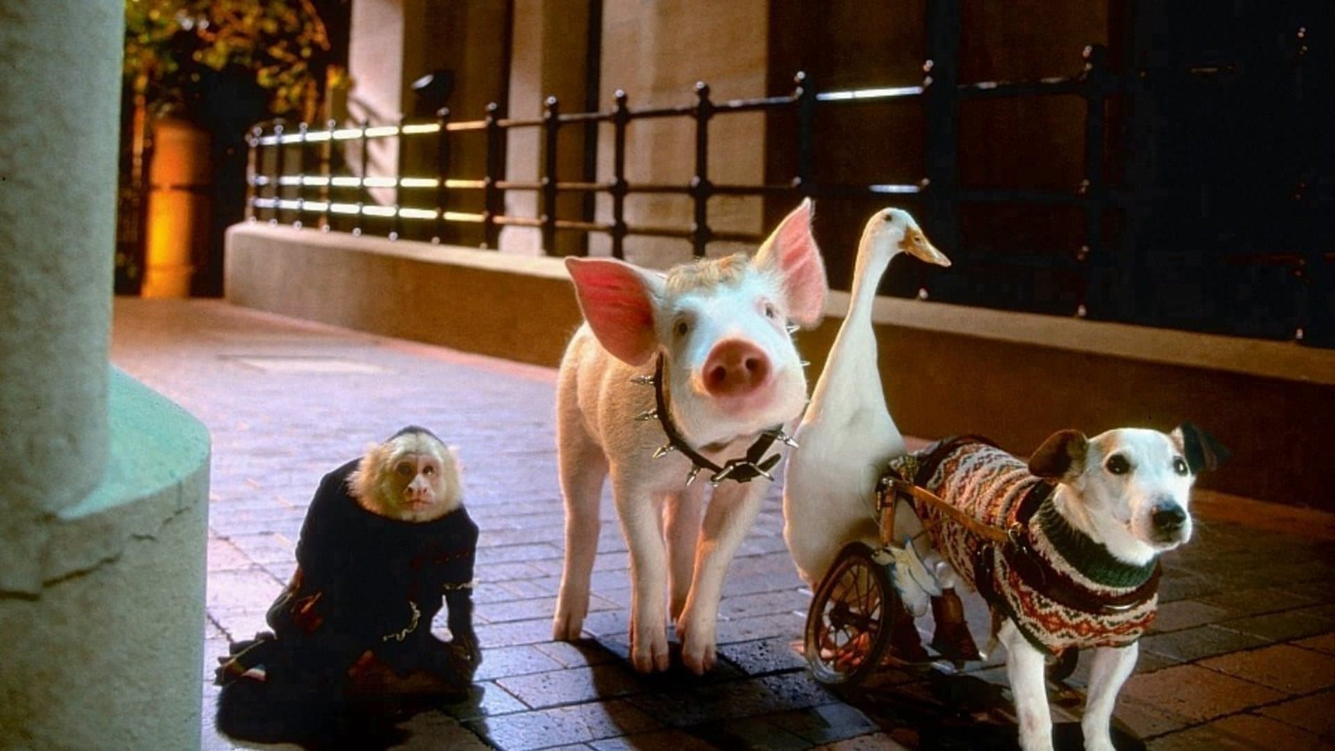 Schweinchen Babe in der großen Stadt