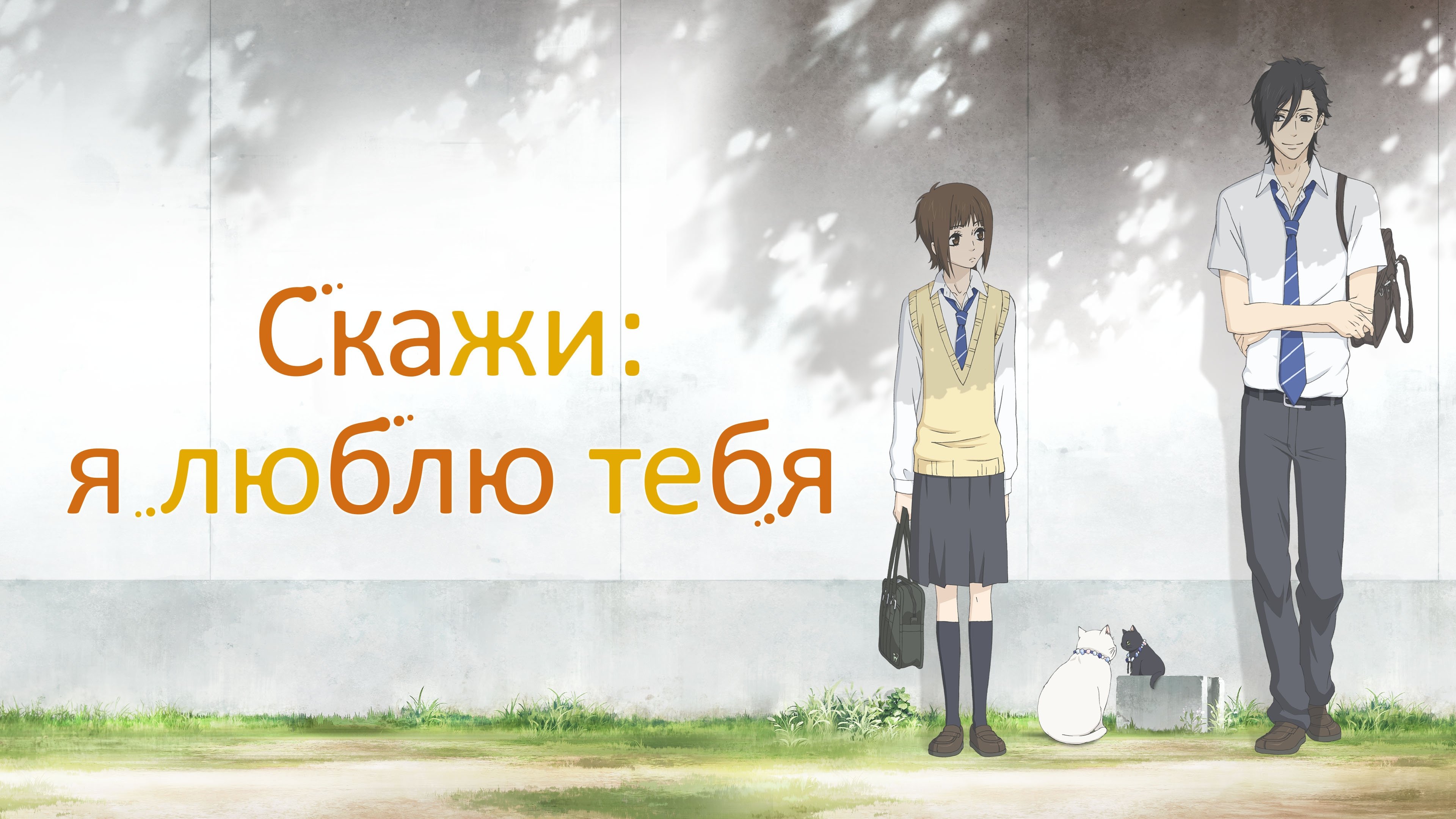 Say "I Love You."