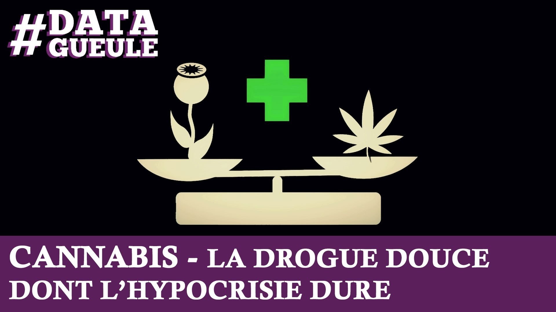 Data Gueule - Cannabis, la drogue douce de l'hypocrisie dure