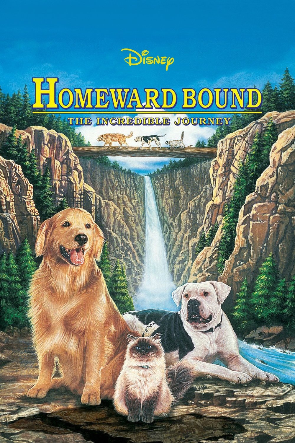 Homeward Bound: The Incredible Journey