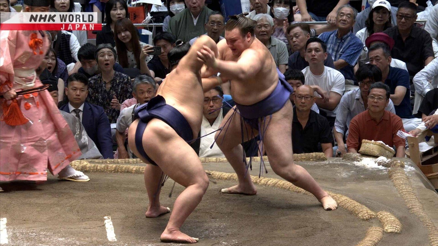 GRAND SUMO Highlights 31x14
